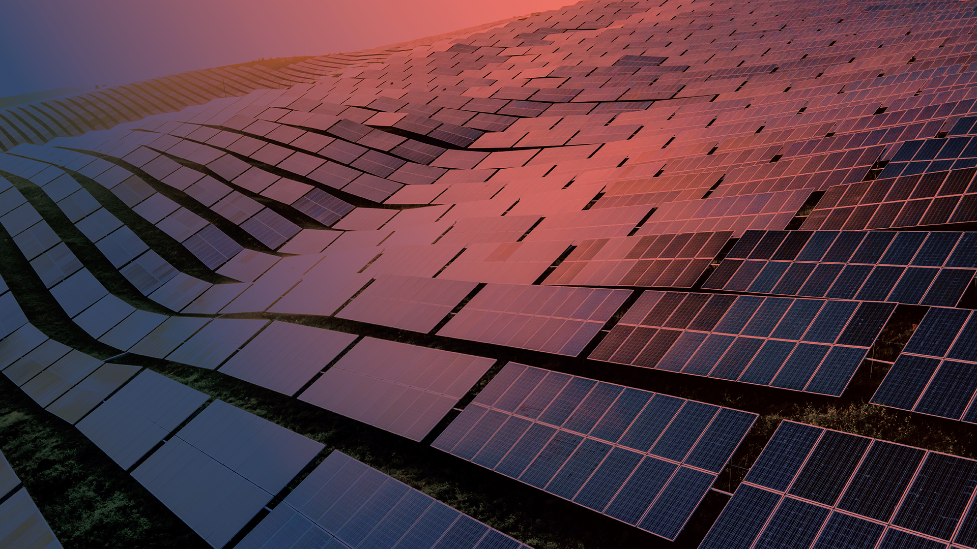 Prediktor Background - TGS Prediktor Landing Page-1